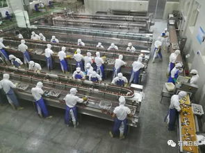 東埔村 電子產業微型基地的崛起與挑戰